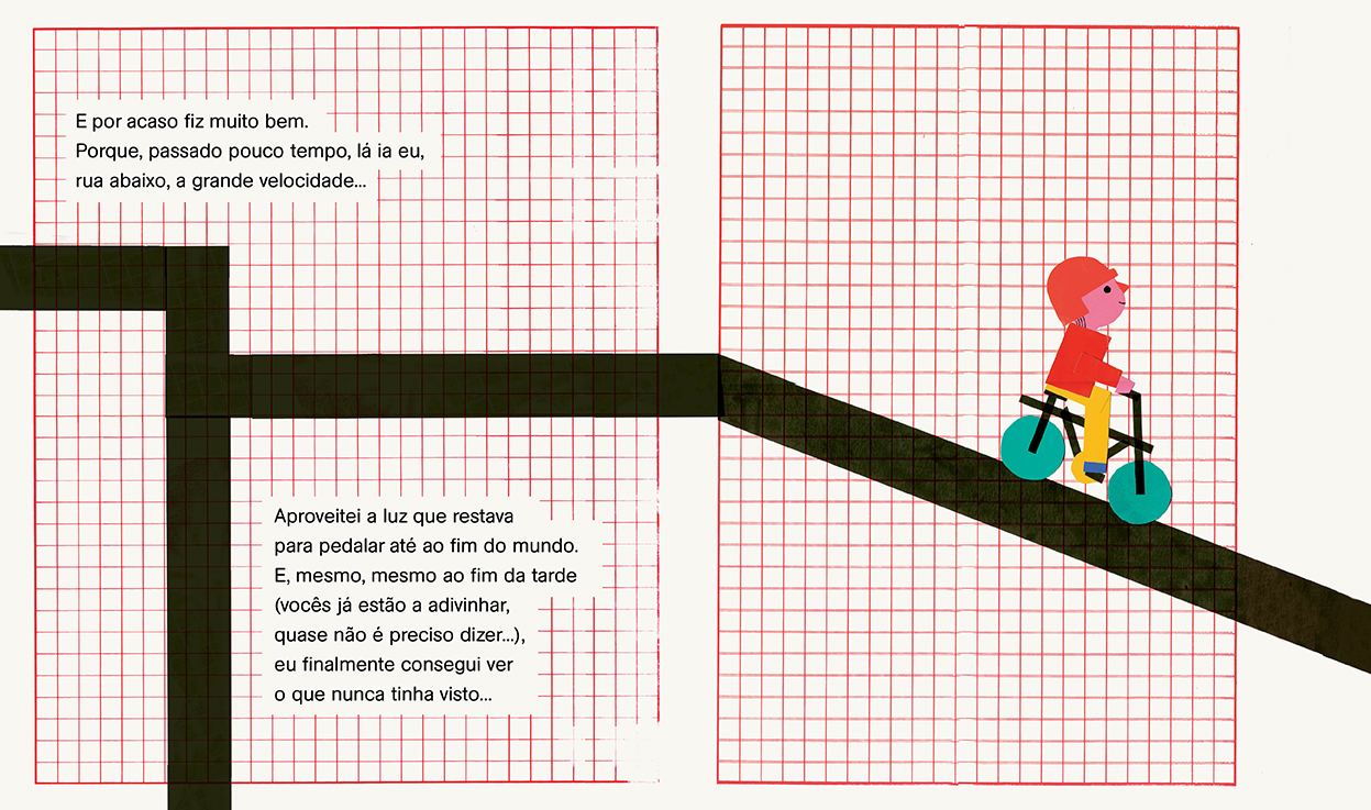 Nunca vi uma bicicleta e os patos não me largam Isabel Minhós Martins Madalena Matoso