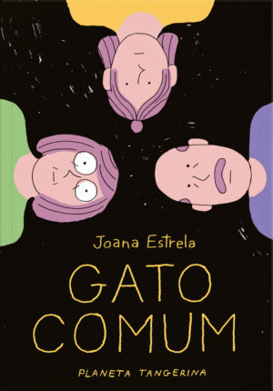 Gato comum Joana Estrela